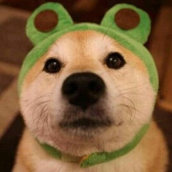 頭像